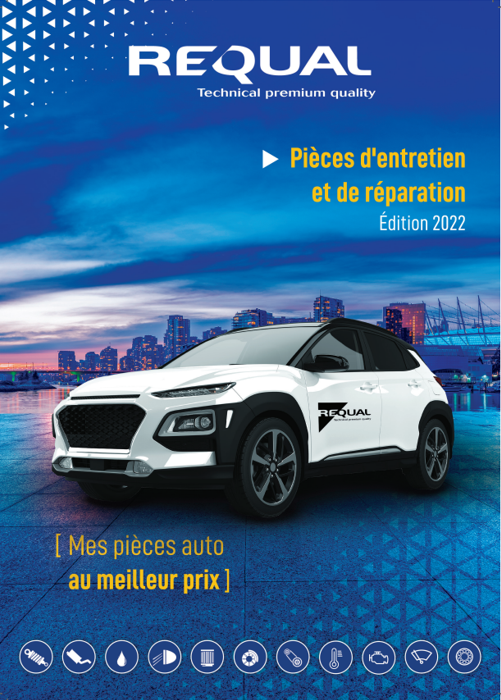 Api Vannes Pieces Detachees Auto Vannes Requal 1 1